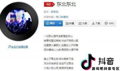 ​过了山海关有事找本山是什么梗和意思 出自歌曲东北东北